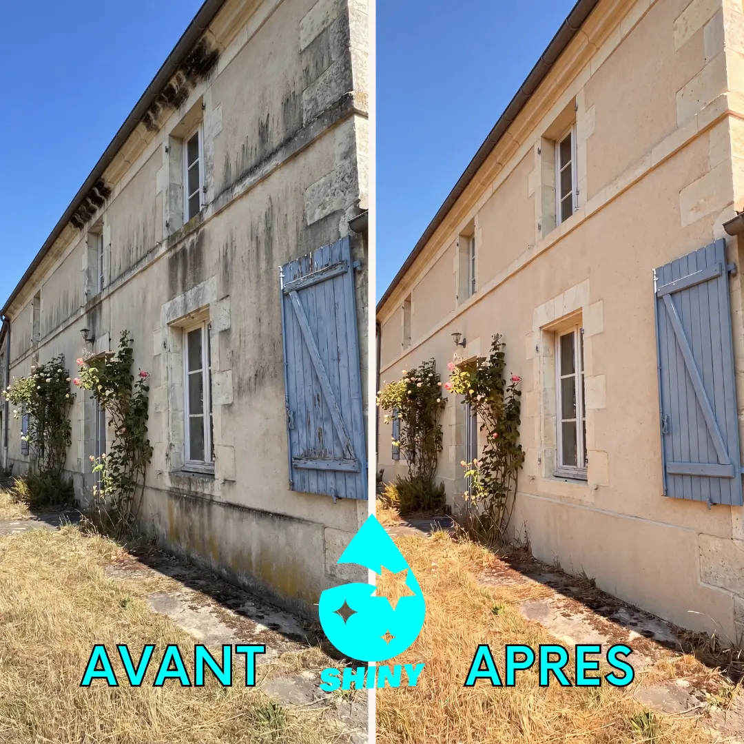 Avant apres Shiny