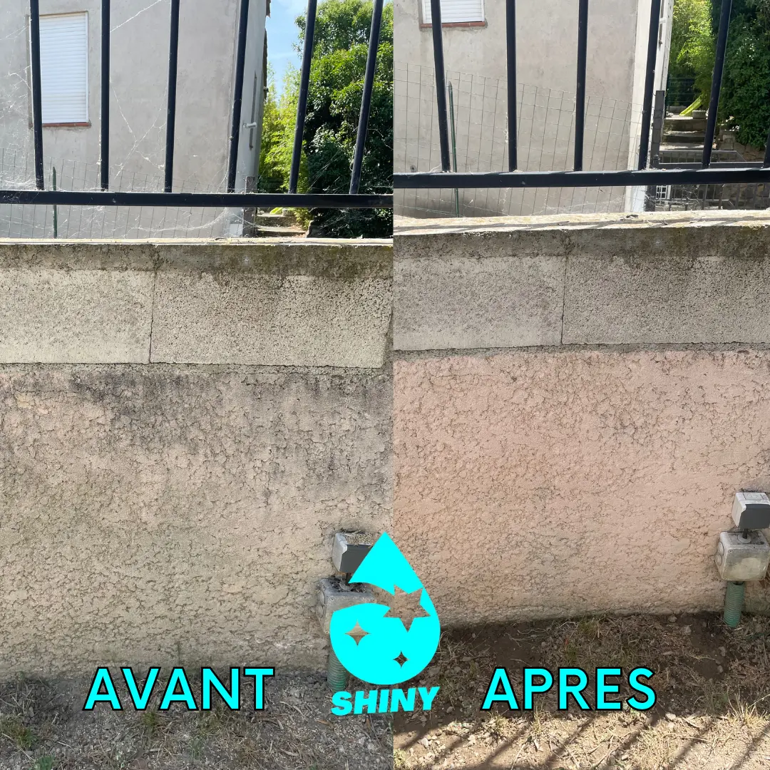 Avant apres nettoyage