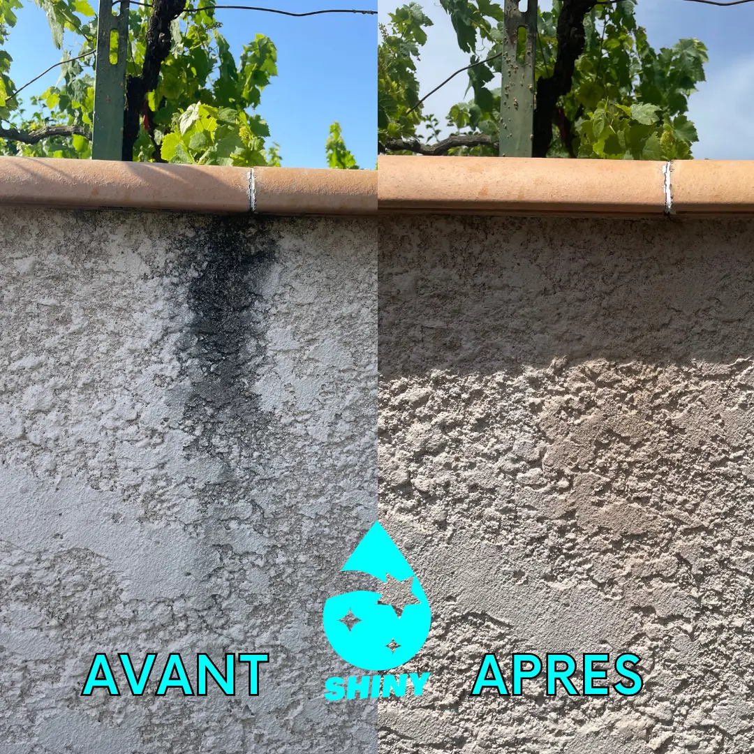 Avant apres nettoyage